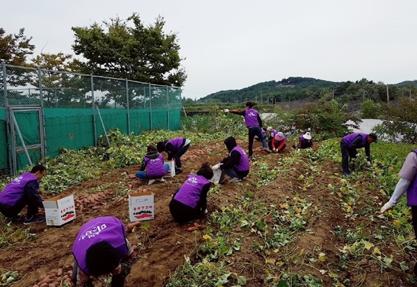 농촌 일손돕기 장면