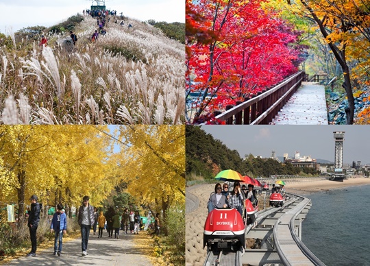 가을철 주요 관광지 사진